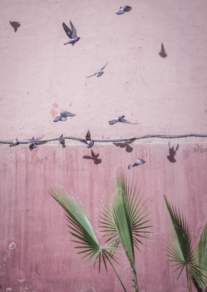 Reseberättelse Marrakech.