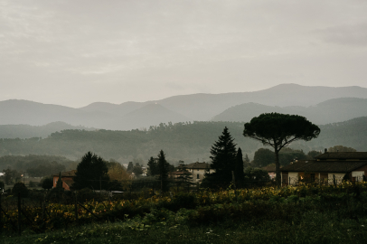 Villa Buonvisi.