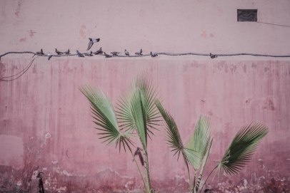 Reseberättelse Marrakech.